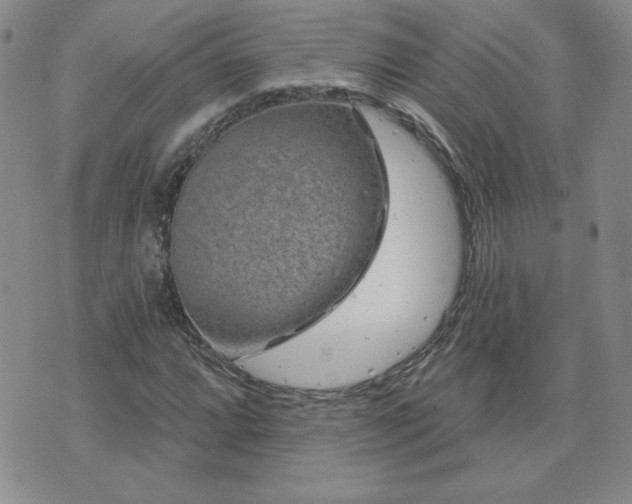 X0000071851064200606301332