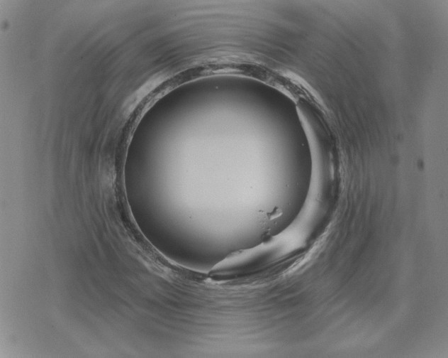 X0000071851065200606301332