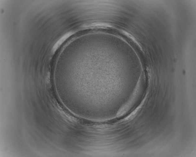 X0000071851066200606301331