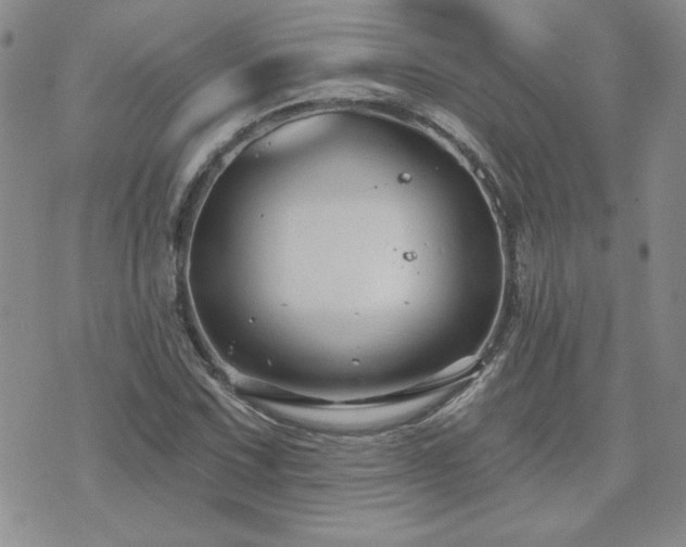 X0000071851067200606301331