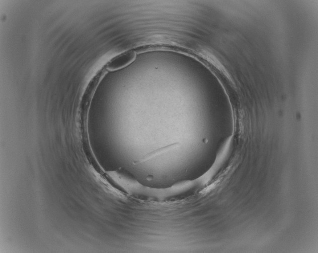 X0000071851068200606301331