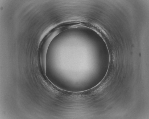 X0000071851069200606301331