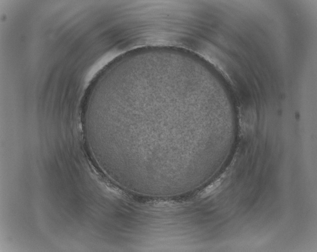 X0000071851070200606301331