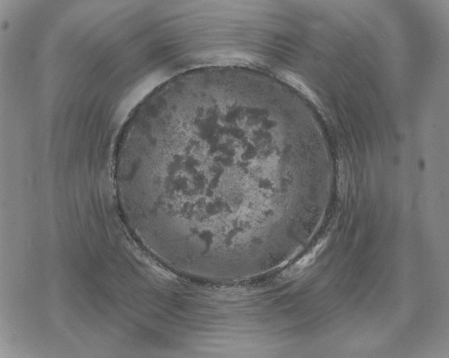 X0000071851071200606301331