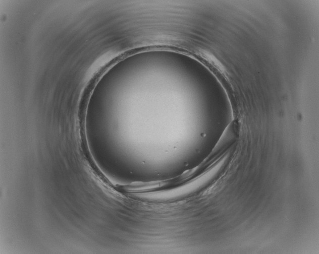 X0000071851072200606301331