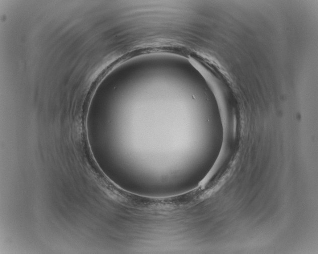 X0000071851073200606301331