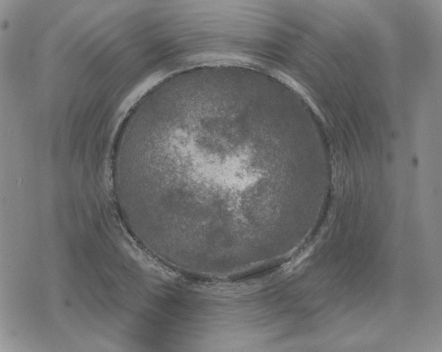 X0000071851074200606301331