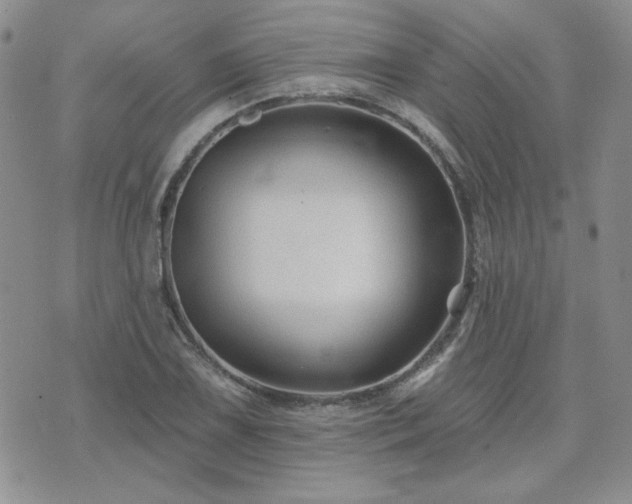 X0000071851075200606301331