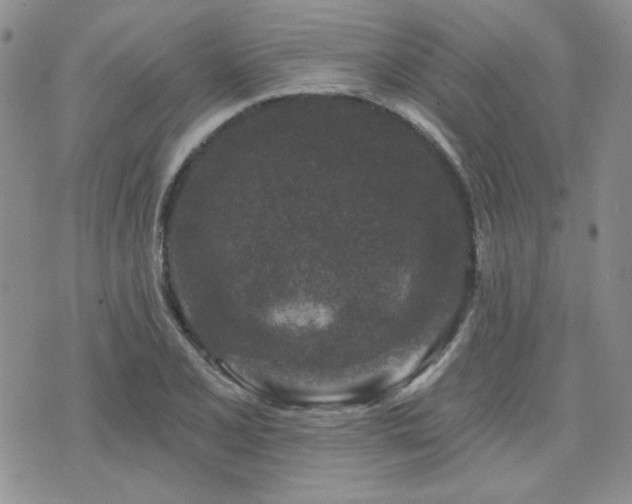 X0000071851077200606301331