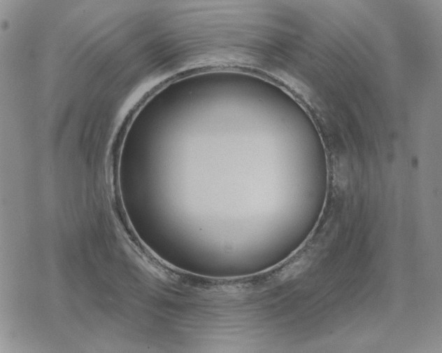 X0000071851078200606301331