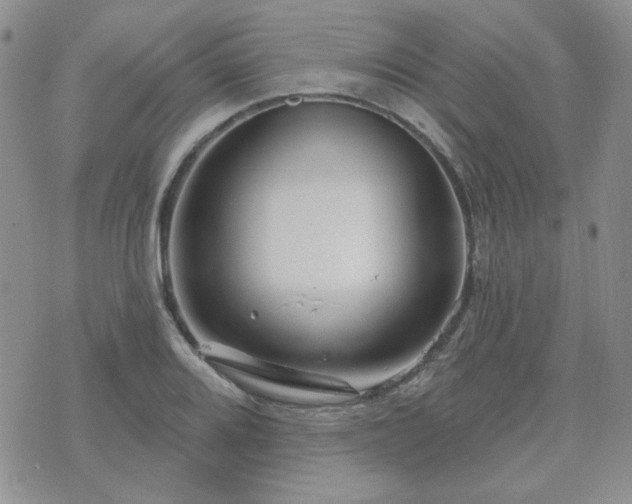 X0000071851080200606301331