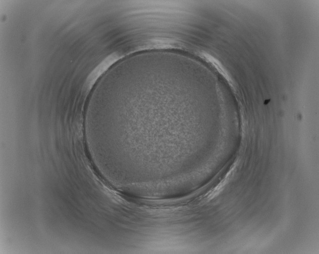 X0000071851081200606301331