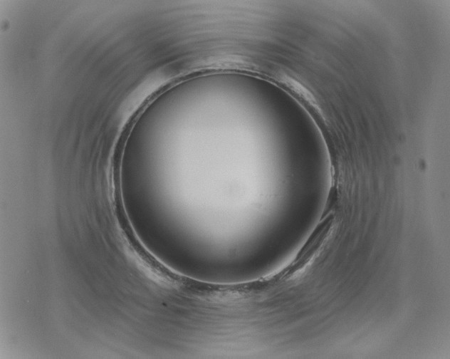 X0000071851082200606301331