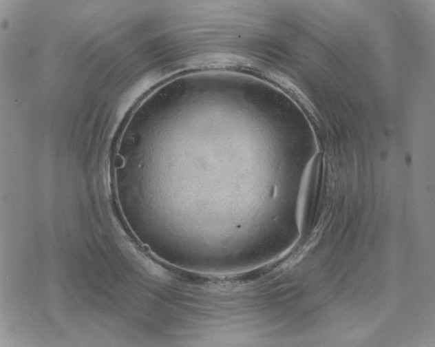 X0000071851083200606301331