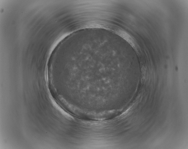 X0000071851084200606301331