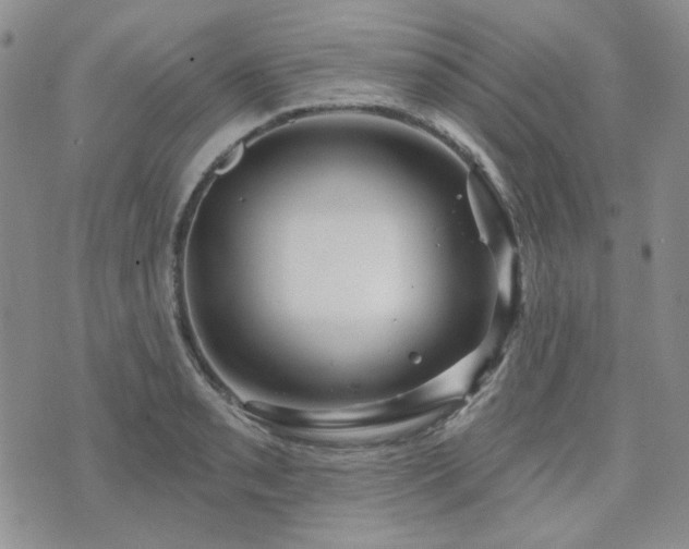 X0000071851085200606301331