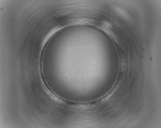 X0000071851086200606301331