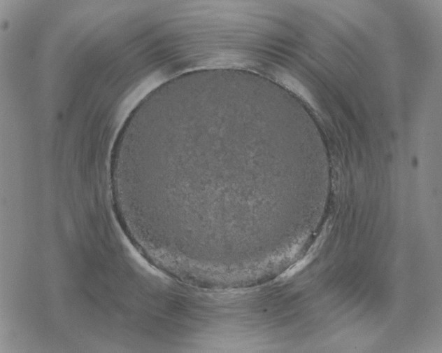 X0000071851087200606301331