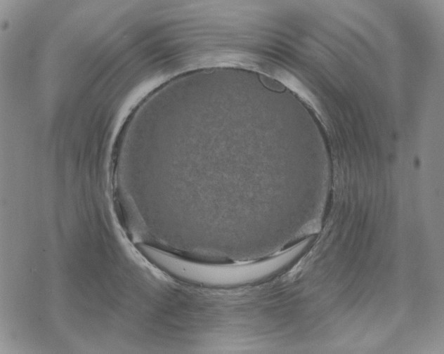 X0000071851088200606301331