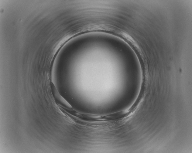 X0000071851089200606301331