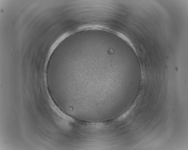 X0000071851090200606301331