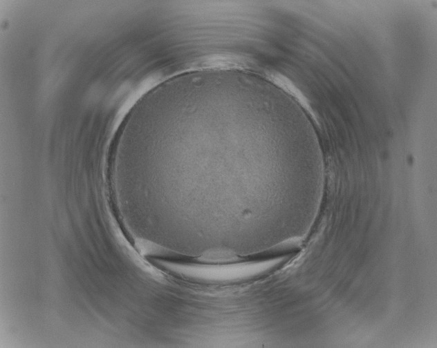 X0000071851091200606301331