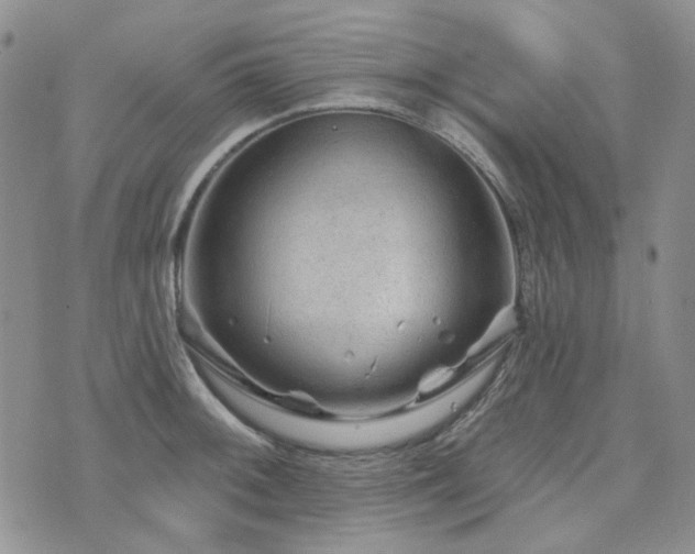 X0000071851092200606301331