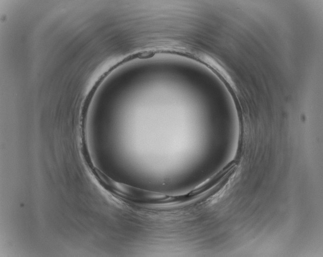 X0000071851093200606301331