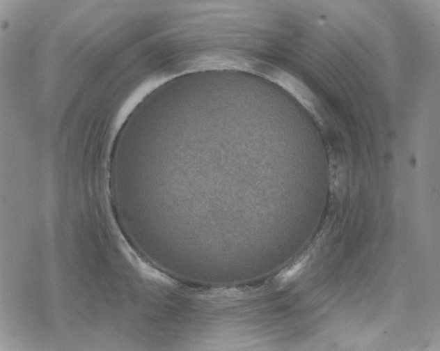 X0000071851094200606301331