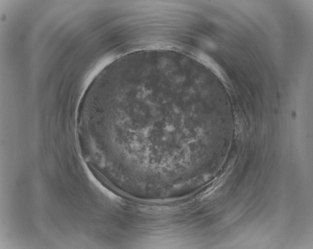 X0000071851095200606301331