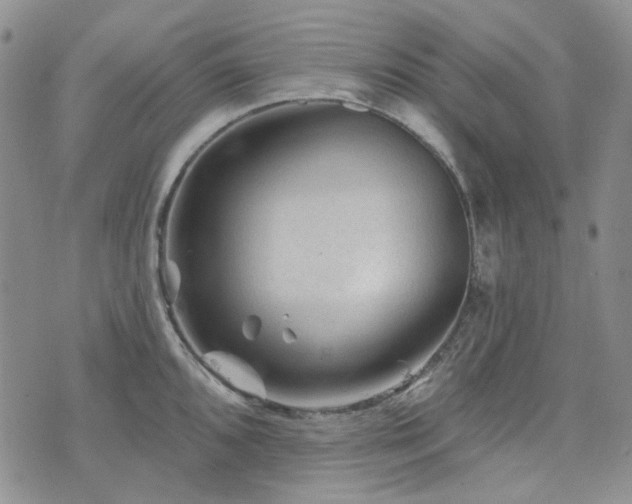 X0000071851096200606301331