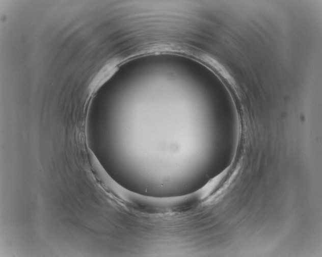 X0000071851097200606301331