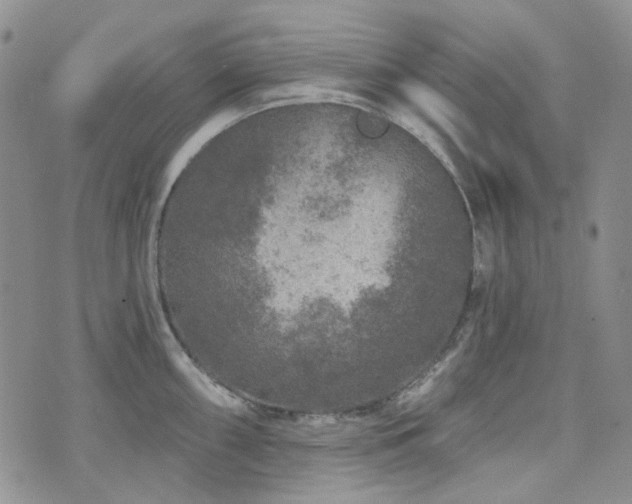 X0000071851098200606301331