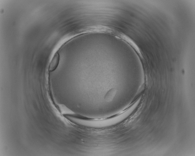 X0000071851099200606301331