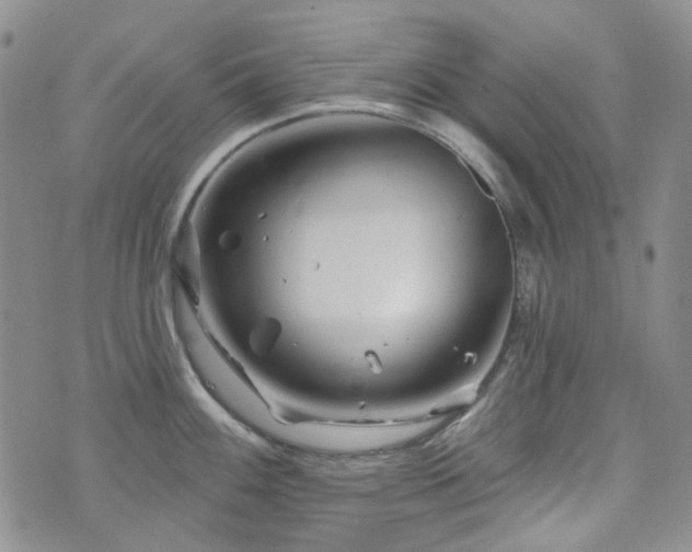 X0000071851100200606301331