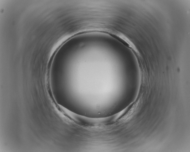 X0000071851101200606301331