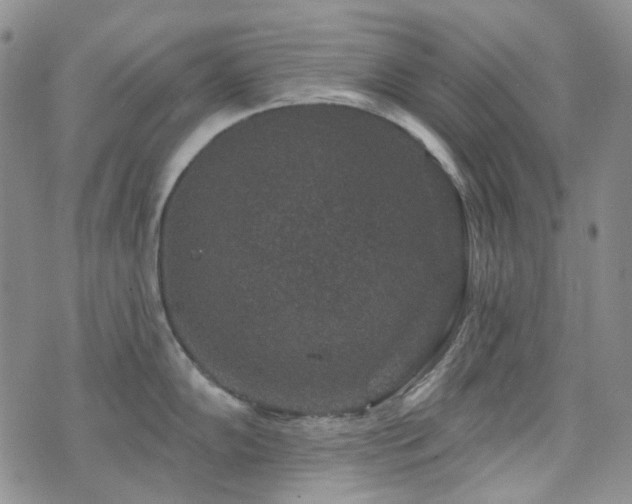 X0000071851102200606301331