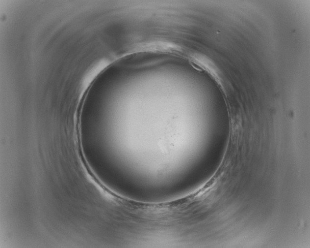 X0000071851103200606301331