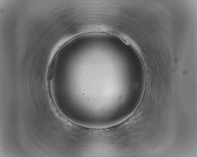 X0000071851104200606301331