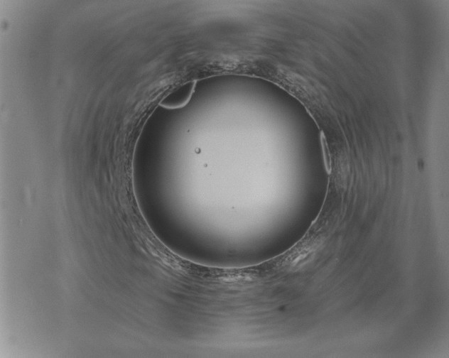 X0000071851105200606301330