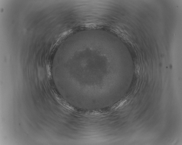 X0000071851106200606301330