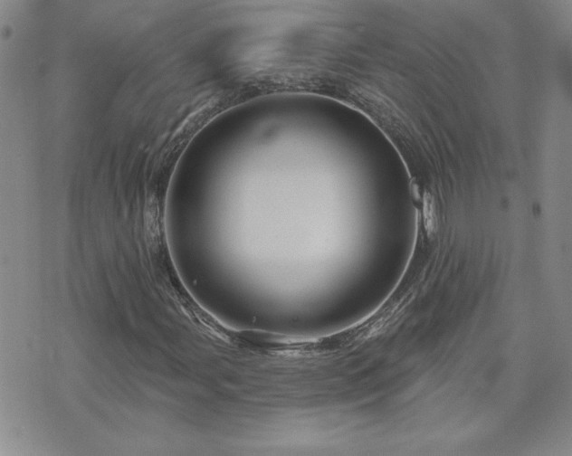 X0000071851107200606301330