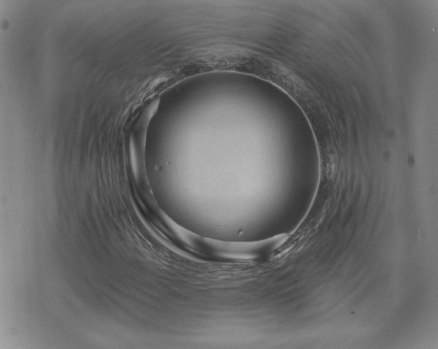 X0000071851108200606301330