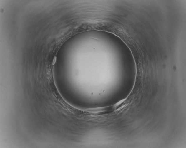 X0000071851109200606301330