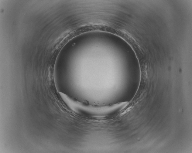 X0000071851110200606301330