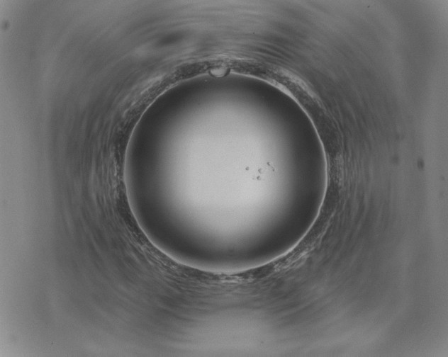 X0000071851111200606301330