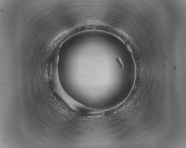 X0000071851112200606301330