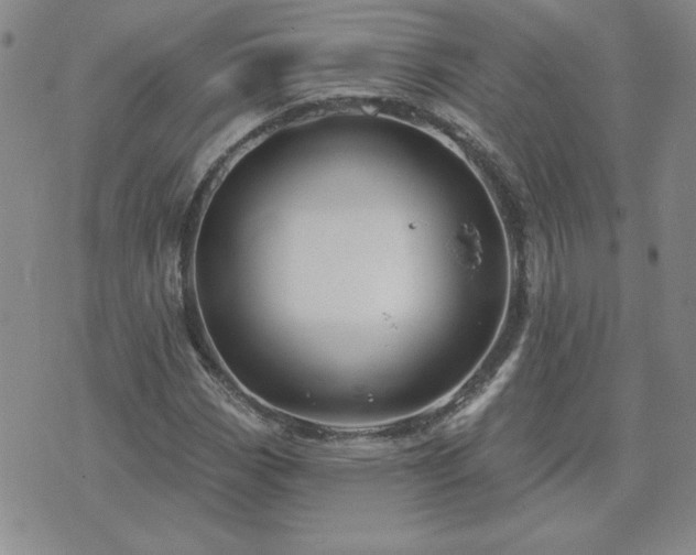 X0000071851113200606301330