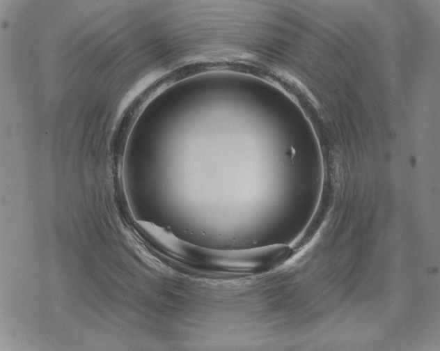 X0000071851114200606301330