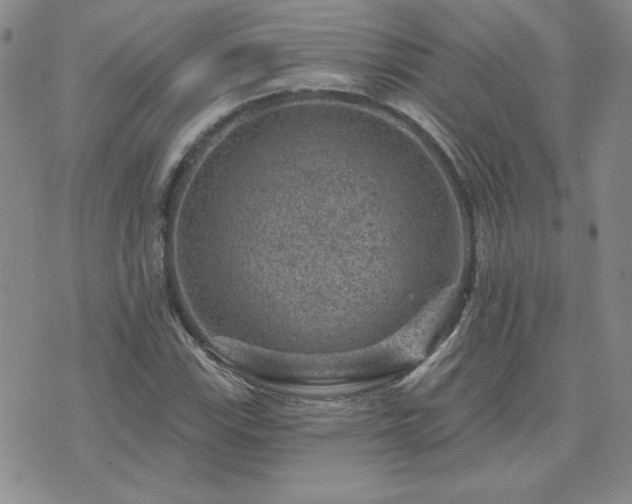 X0000071851115200606301330